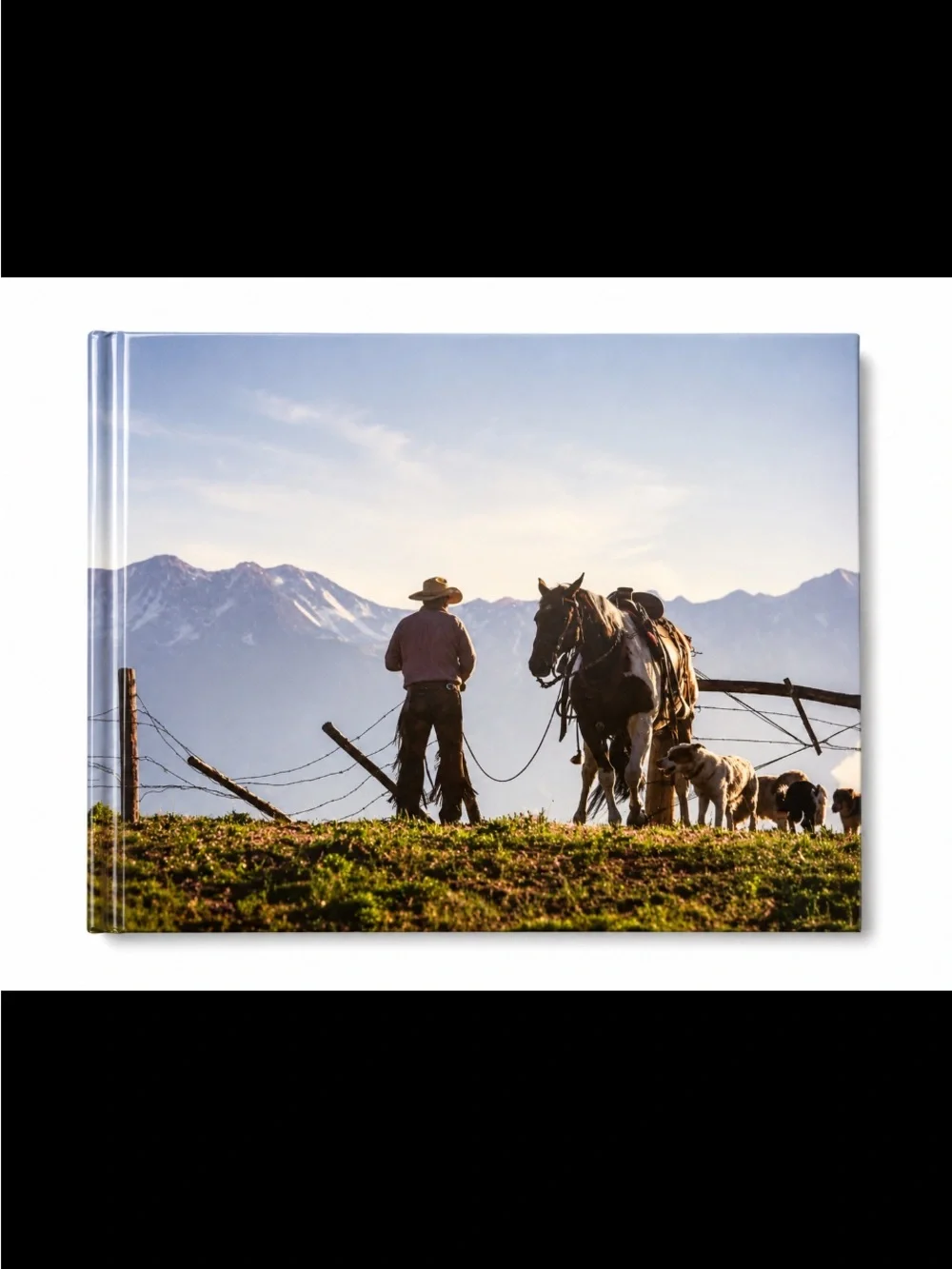 Cowboy Ethics: What It Takes to Win at Life 10th Anniversary by James P. Owen